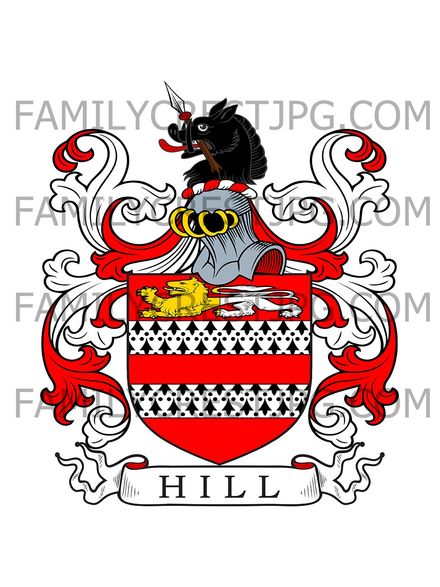 Hill Family Crest - Hales, co. Norfolk
