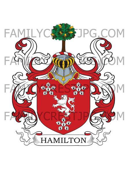 Hamilton Family Crest - Cambuskeith, co. Ayrshire, Scotland
