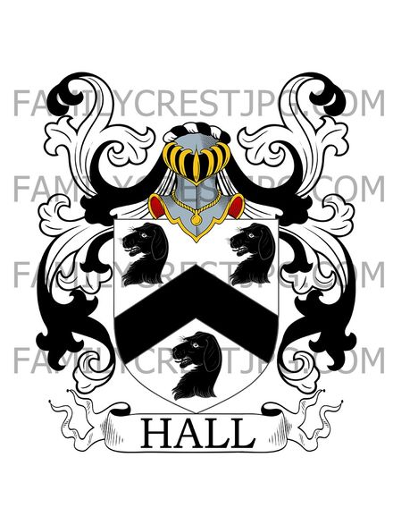 Hall Family Crest - High Meadow, Forest of Dean, co. Gloucester, England