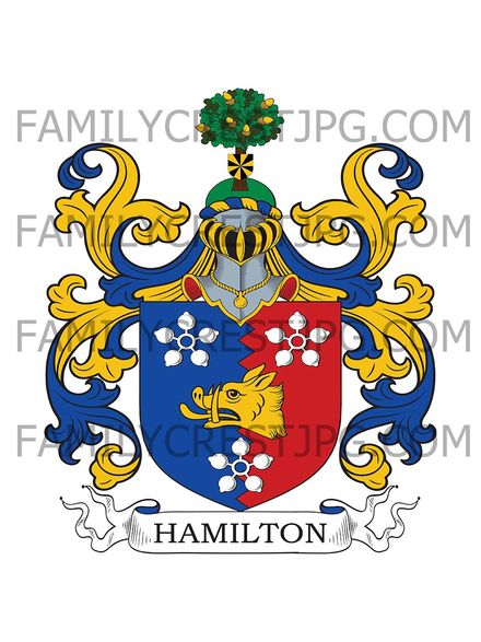 Hamilton Family Crest - Belfast, Ireland