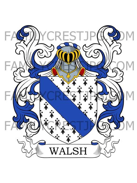 Walsh Family Crest