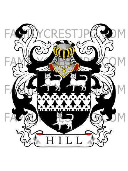Hill Family Crest - London, England
