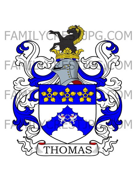 Thomas Family Crest - Gnoll, Neath, co. Glamorgan, Wales