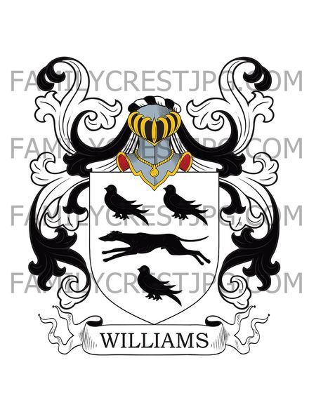 Williams Family Crest - Somerset, England
