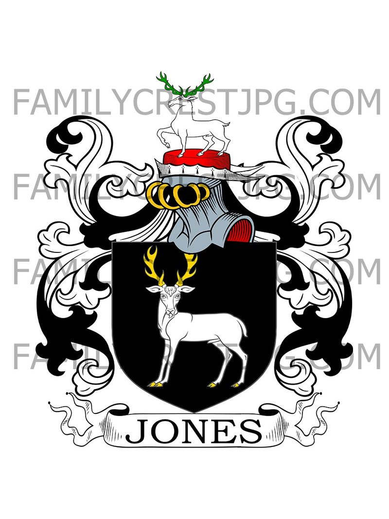 Jones Family Crest - Monmouth, Wales