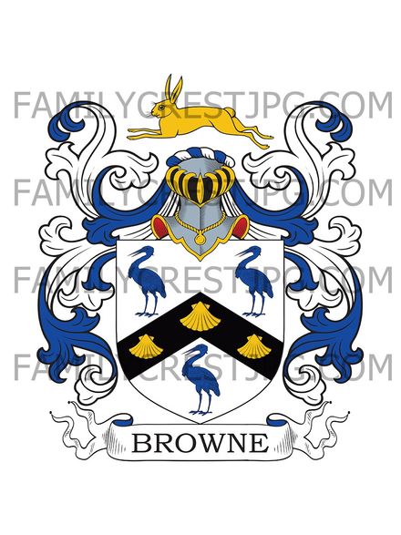 Browne Family Crest - Frampton, co. Dorset, England