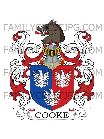 Cooke Family Crest - Bromyard, co. Hereford, England