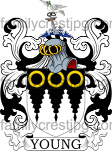 Young Family Crest, Young Coat of Arms
