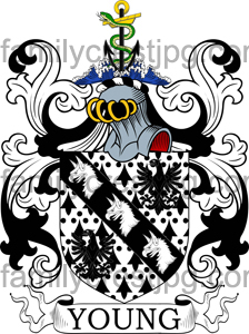 Young Family Crest, Young Coat of Arms