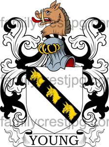 Young Family Crest, Young Coat of Arms
