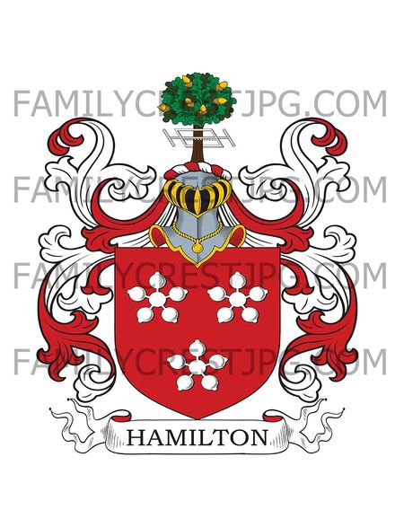 Hamilton Family Crest - Minard Castle, co. Argyll, Scotland