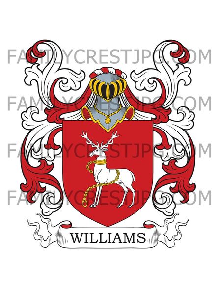 Williams Family Crest - Velin-Newydd, co. Brecon, Wales