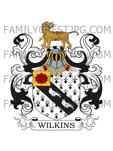 Wilkins Family Crest