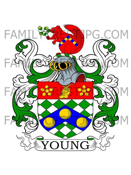 Young Family Crest