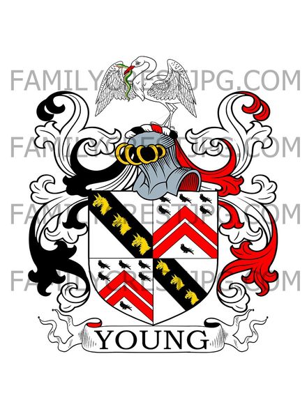 Young Family Crest