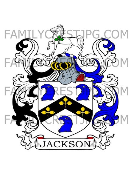 Jackson Family Crest - Enniscoe, co. Mayo, Ireland