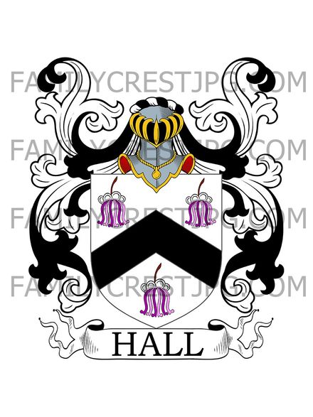 Hall Family Crest - Coventry, co. Warwick, England