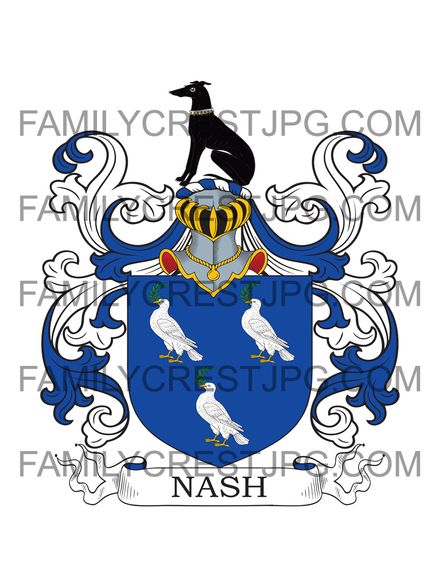 Nash Family Crest - Kilkenny, Ireland