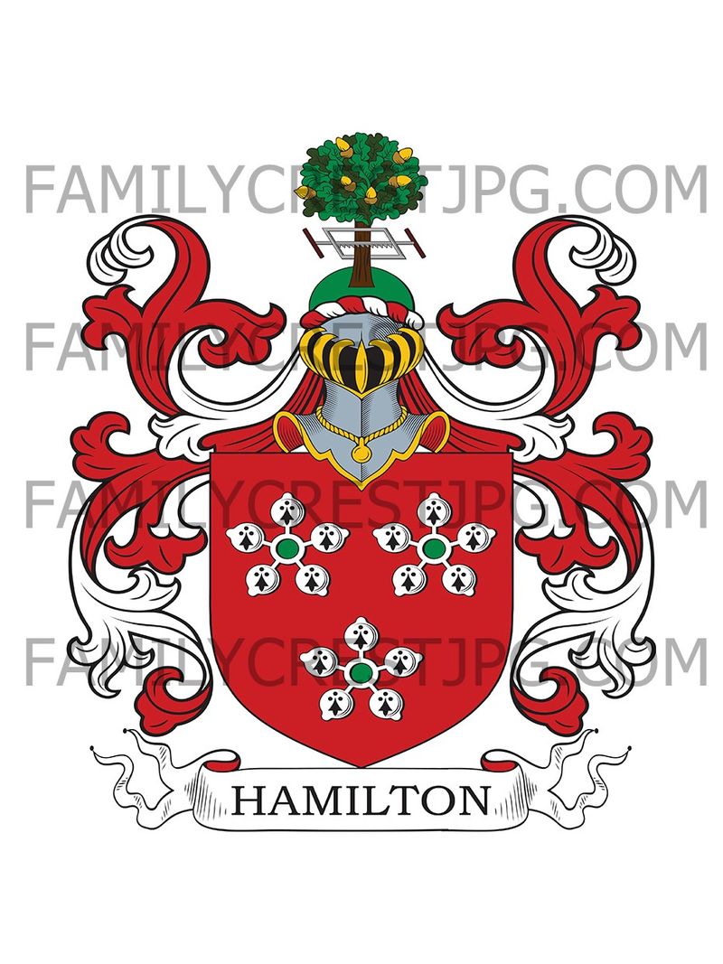 Hamilton Family Crest - Sweden &amp; Glenawley