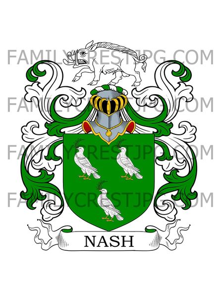 Nash Family Crest - Llewellyn Nash of Farrihy, co. Cork, Ireland