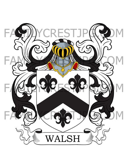 Walsh Family Crest
