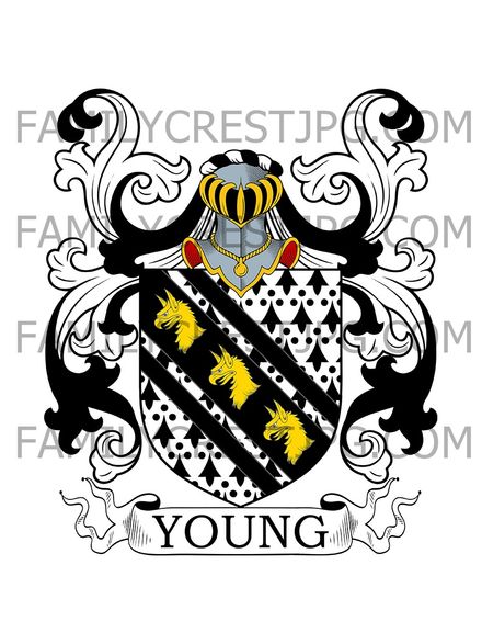 Young Family Crest