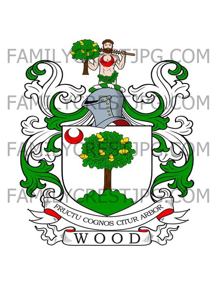 Wood Family Crest - Woodville, co. Sligo, Ireland