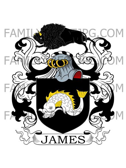 James Family Crest -  London, England