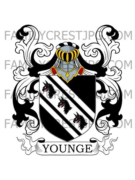 Younge Family Crest - Dublin, Ireland