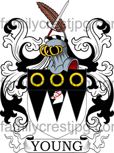Young Family Crest, Young Coat of Arms