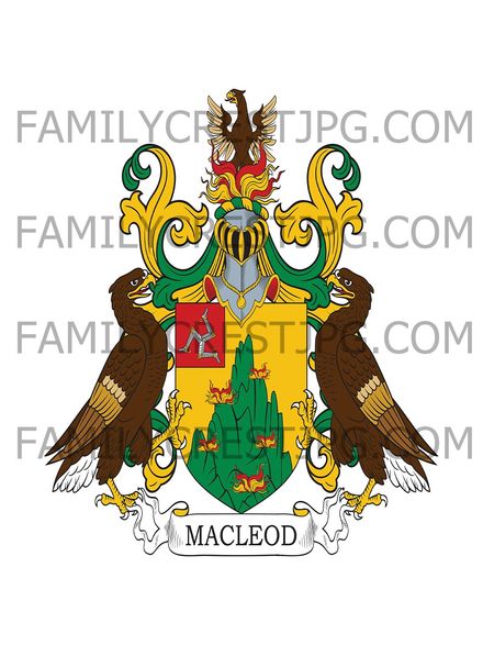 Macleod Family Crest