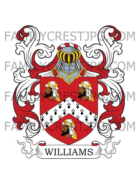 Williams Family Crest - Vaynol, co. Carmarthen, Wales