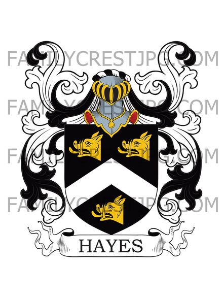 Hayes Family Crest - Heighes