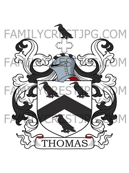 Thomas Family Crest - Brecon, Wales &amp; London