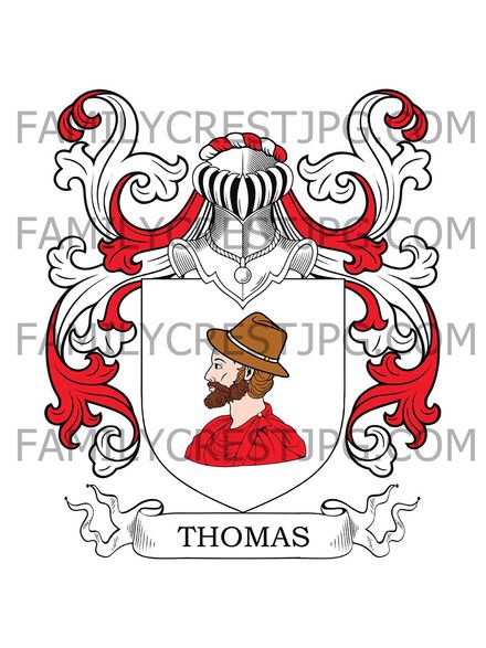 Thomas Family Crest - Holland