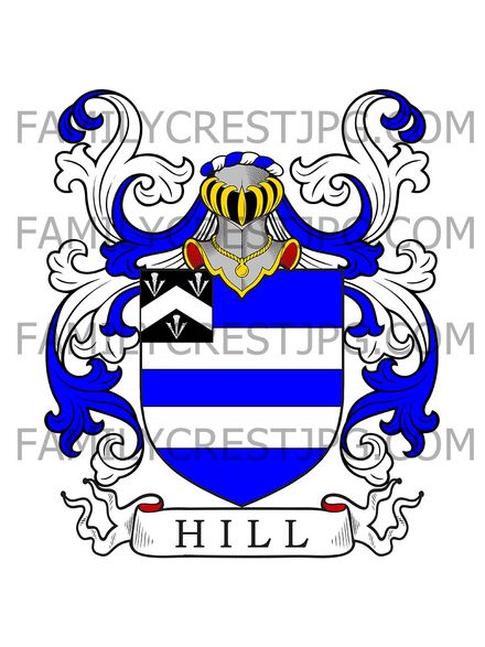 Hill Family Crest - London, England