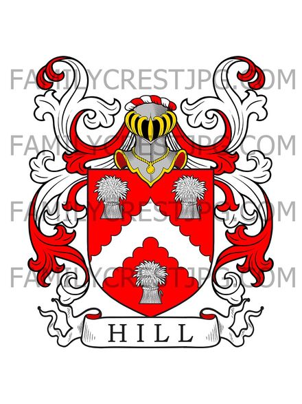 Hill Family Crest - Bridgwater, co. Somerset, England
