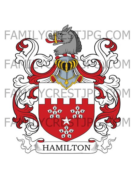 Hamilton Family Crest - Little Earnock, co. Lanark, Scotland