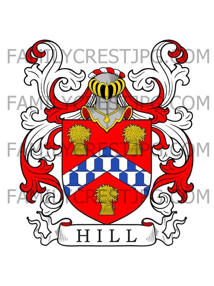 Hill Family Crest - Taunton, co. Somerset, England