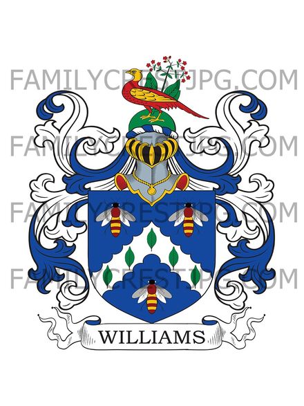 Williams Family Crest - Enfield, co. Middlesex, England