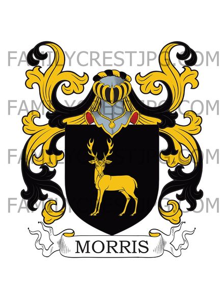 Morris Family Crest - Carnarvon, Wales