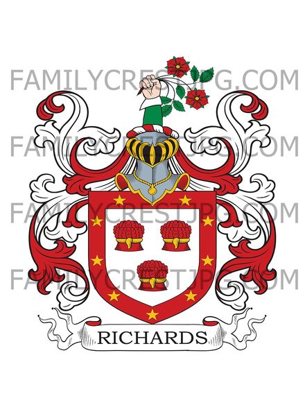 Richards Family Crest - Ireland