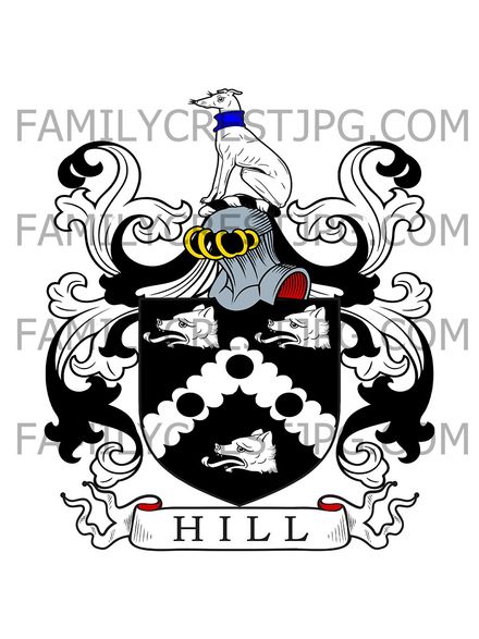 Hill Family Crest - Hacketstown, co. Carlow, Ireland