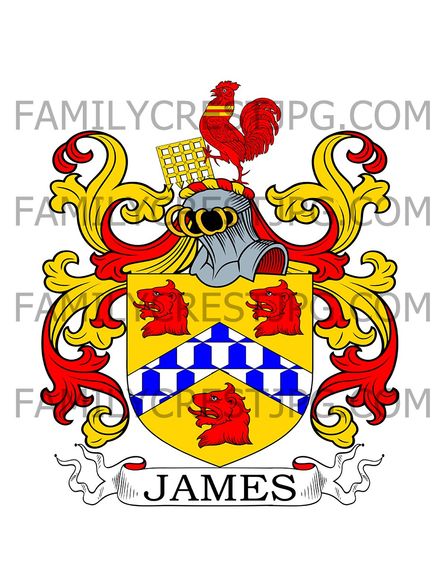 James Family Crest - Wales