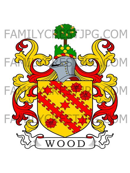 Wood Family Crest - Bodlondeb Hall, co. Carnarvon, Wales