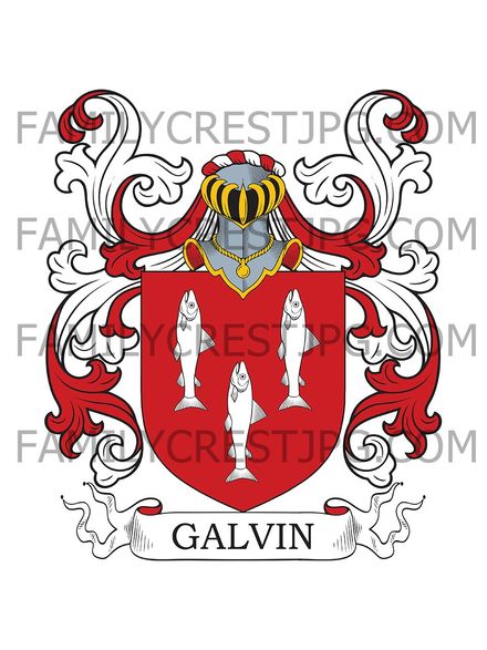 Galvin Family Crest