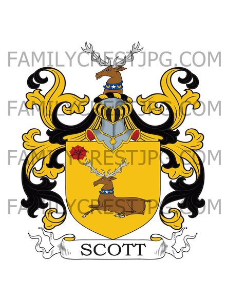 Scott Family Crest - Burnhead, co. Roxburgh, Scotland