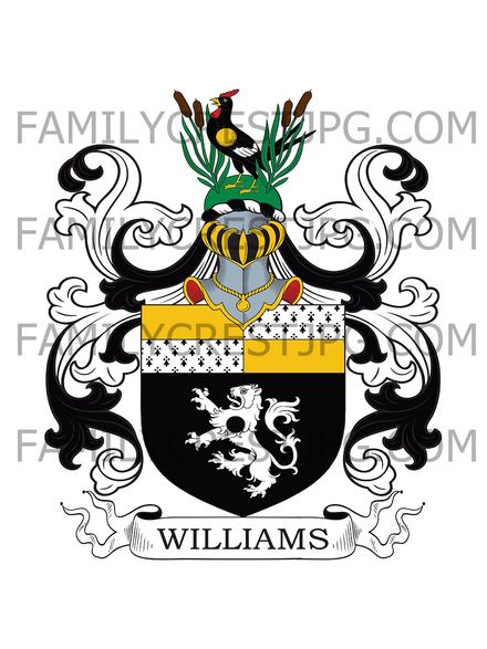 Williams Family Crest - Castle Hill, co. Surrey, England