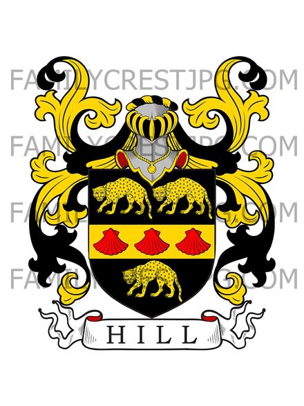 Hill Family Crest - Hillsborough, co. Down, Ireland