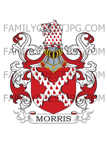 Morris Family Crest - Ireland